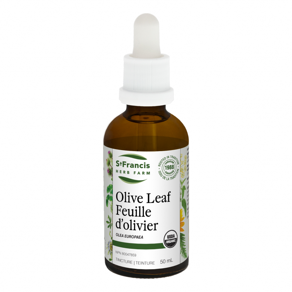 Olive Leaf