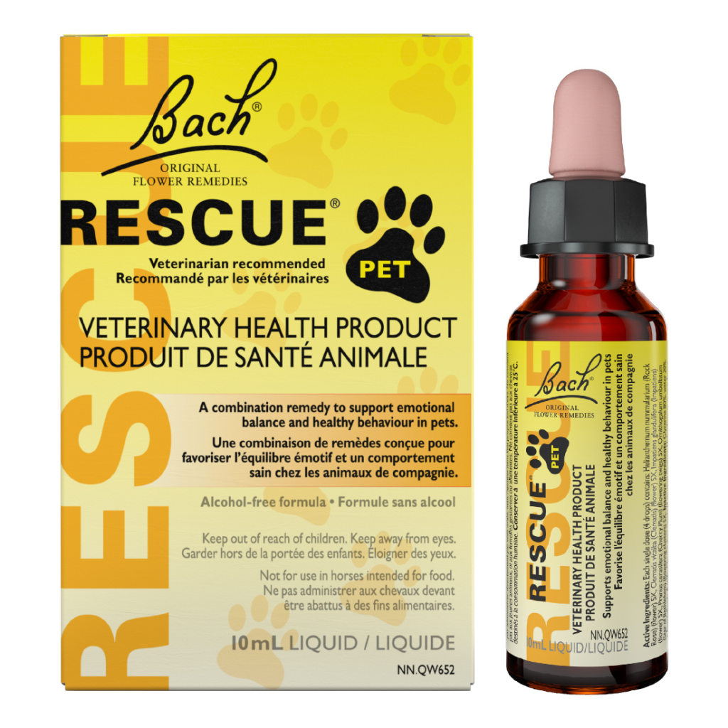 Rescue Pet
