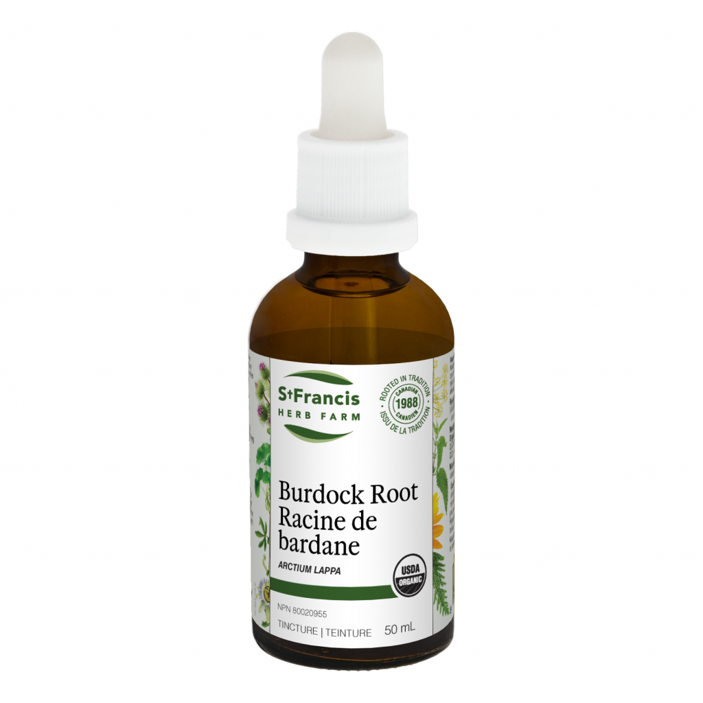 Burdock Root