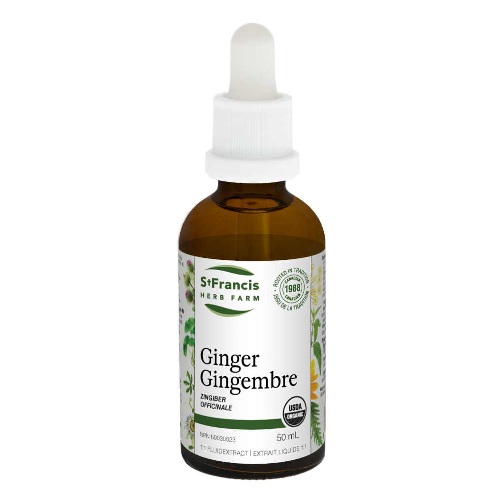 Ginger w 1:1 Fluid Extract