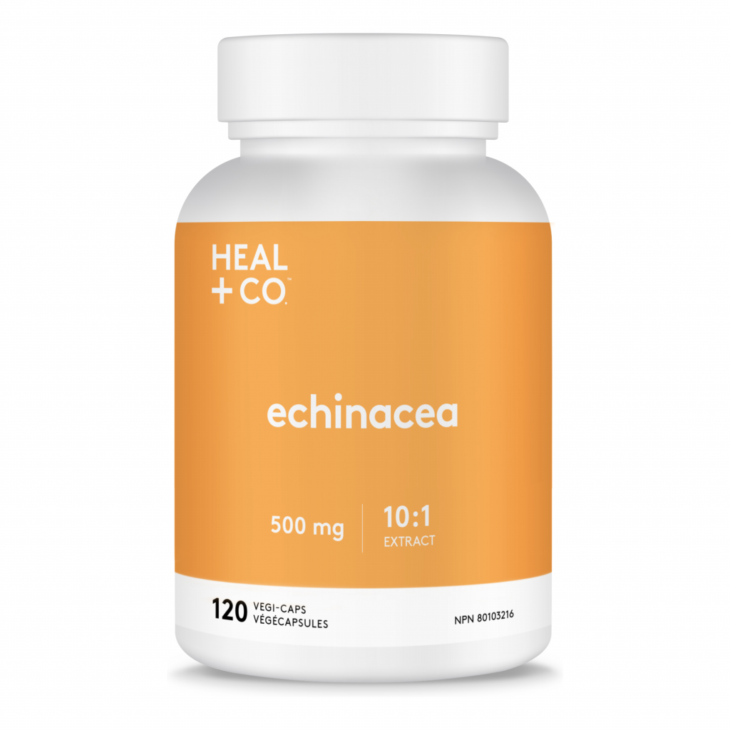 Echinacea (10:1 extract) 500mg