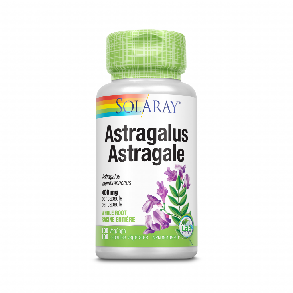 Astragalus