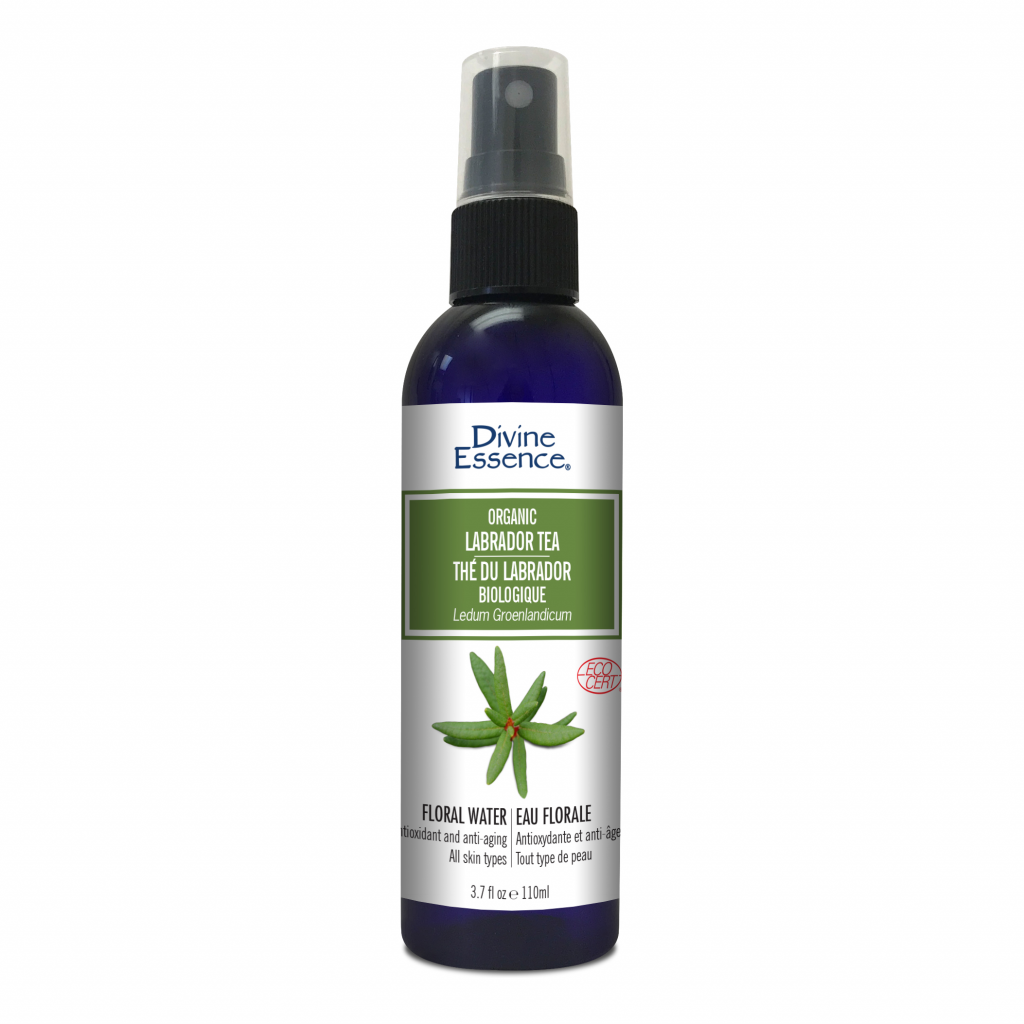 Labrador Tea (Organic)