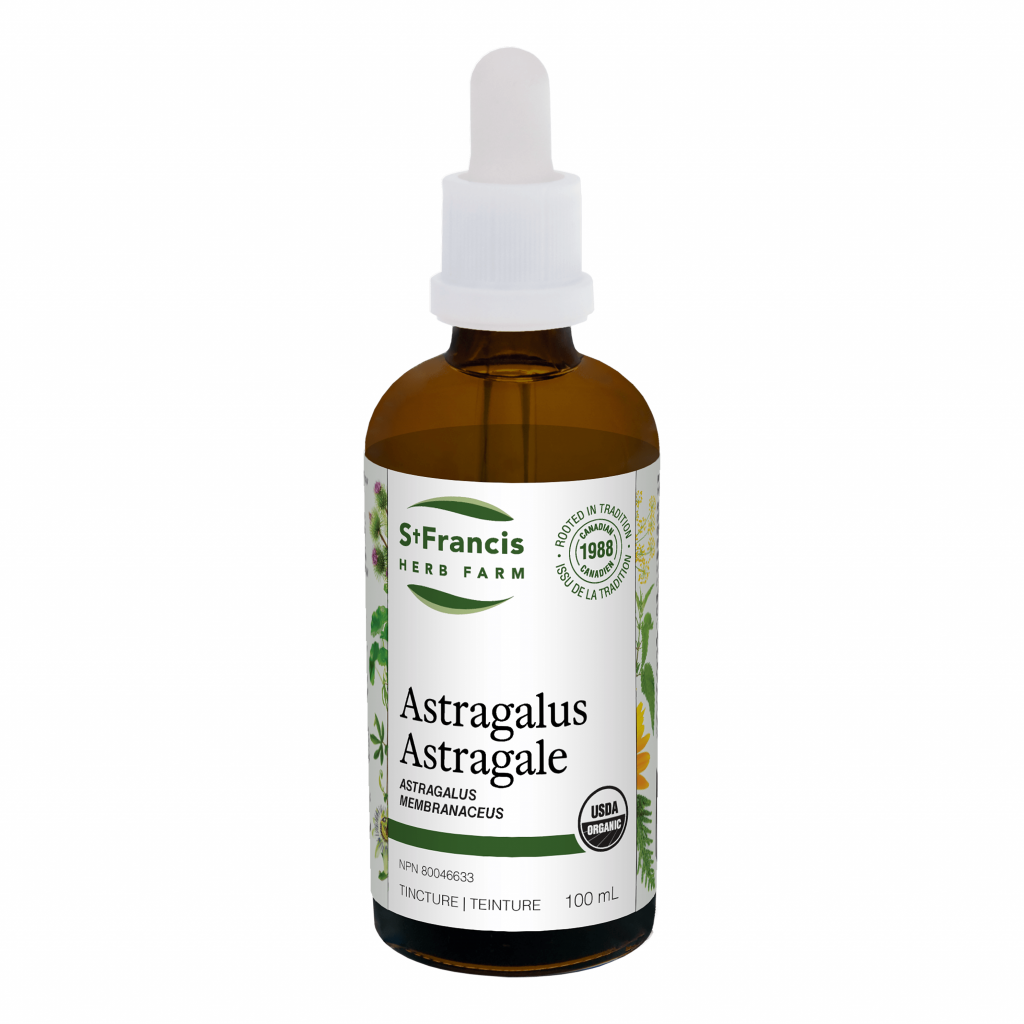 Astragalus