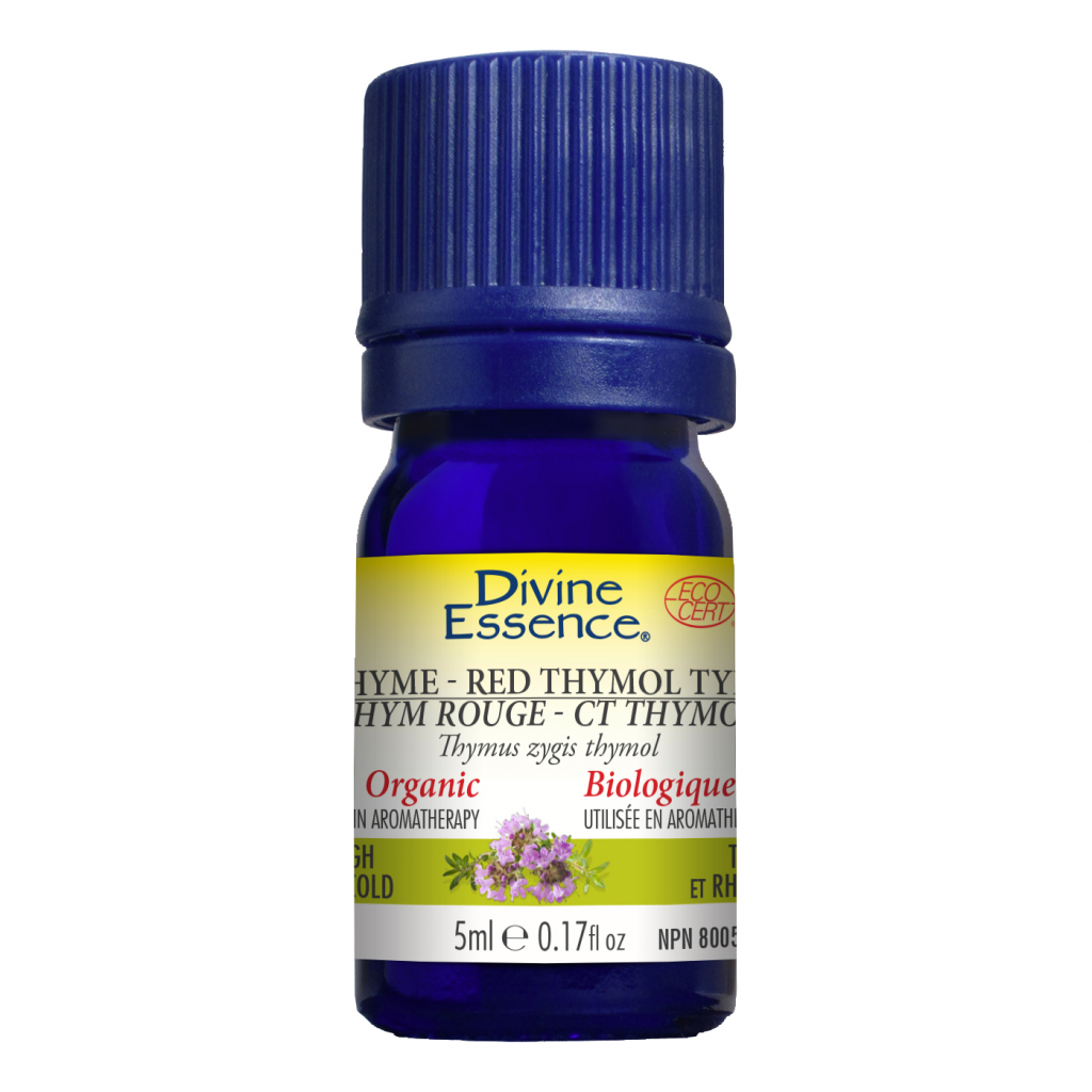 Thyme Red - Thymol (Organic)