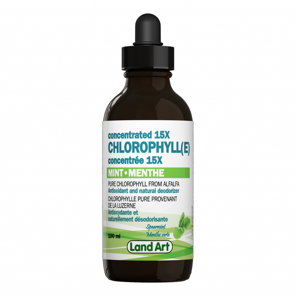Chlorophyll Concentrated 15X Mint