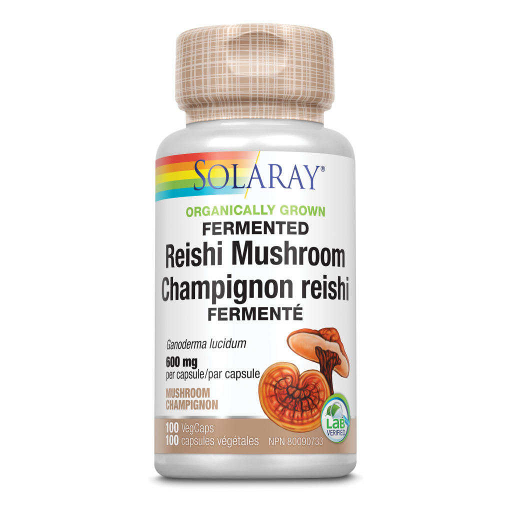 Reishi Mushroom