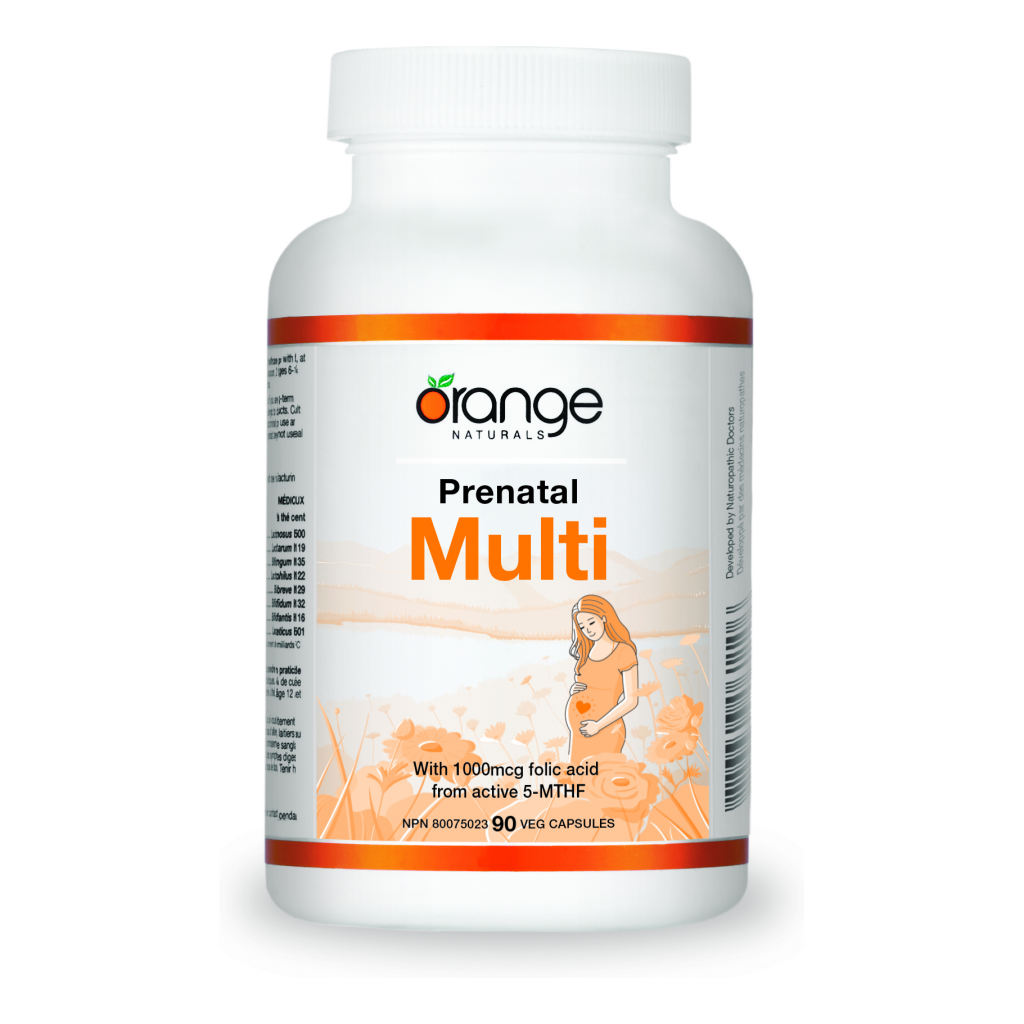 Prenatal Multi  90ct