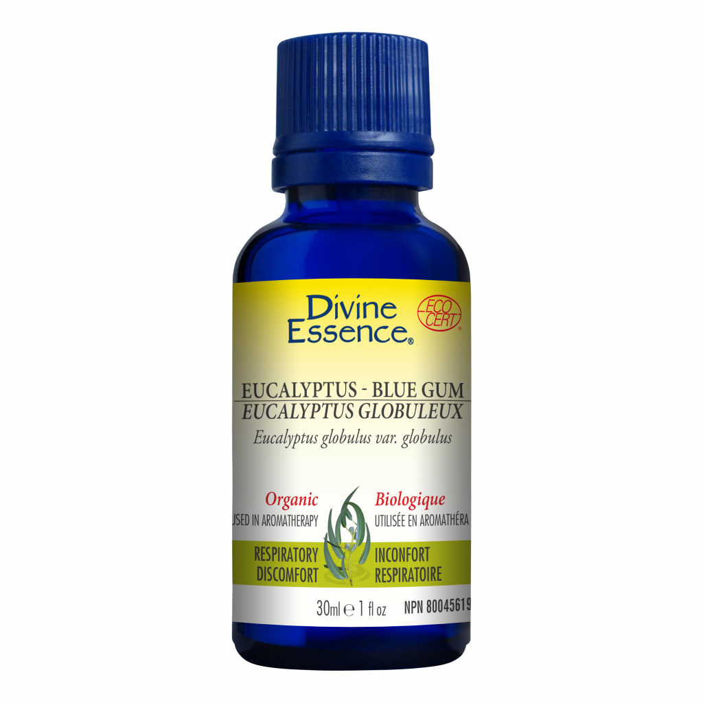 Eucalyptus - Blue Gum (Organic)